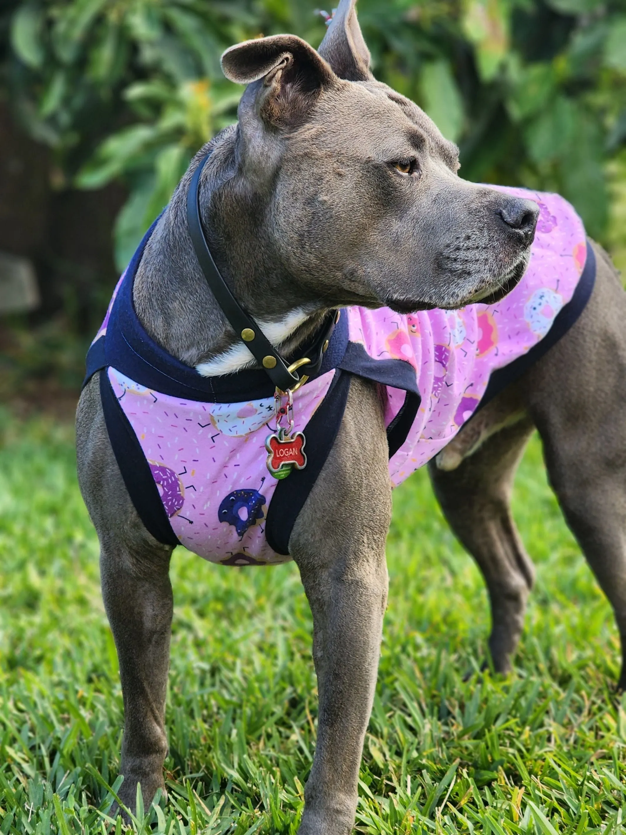Donut You Love Me Dog Pajamas