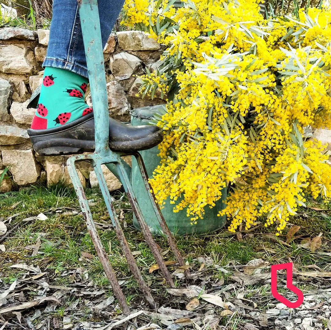 Ladybird Women's Bamboo Crew Socks in Green