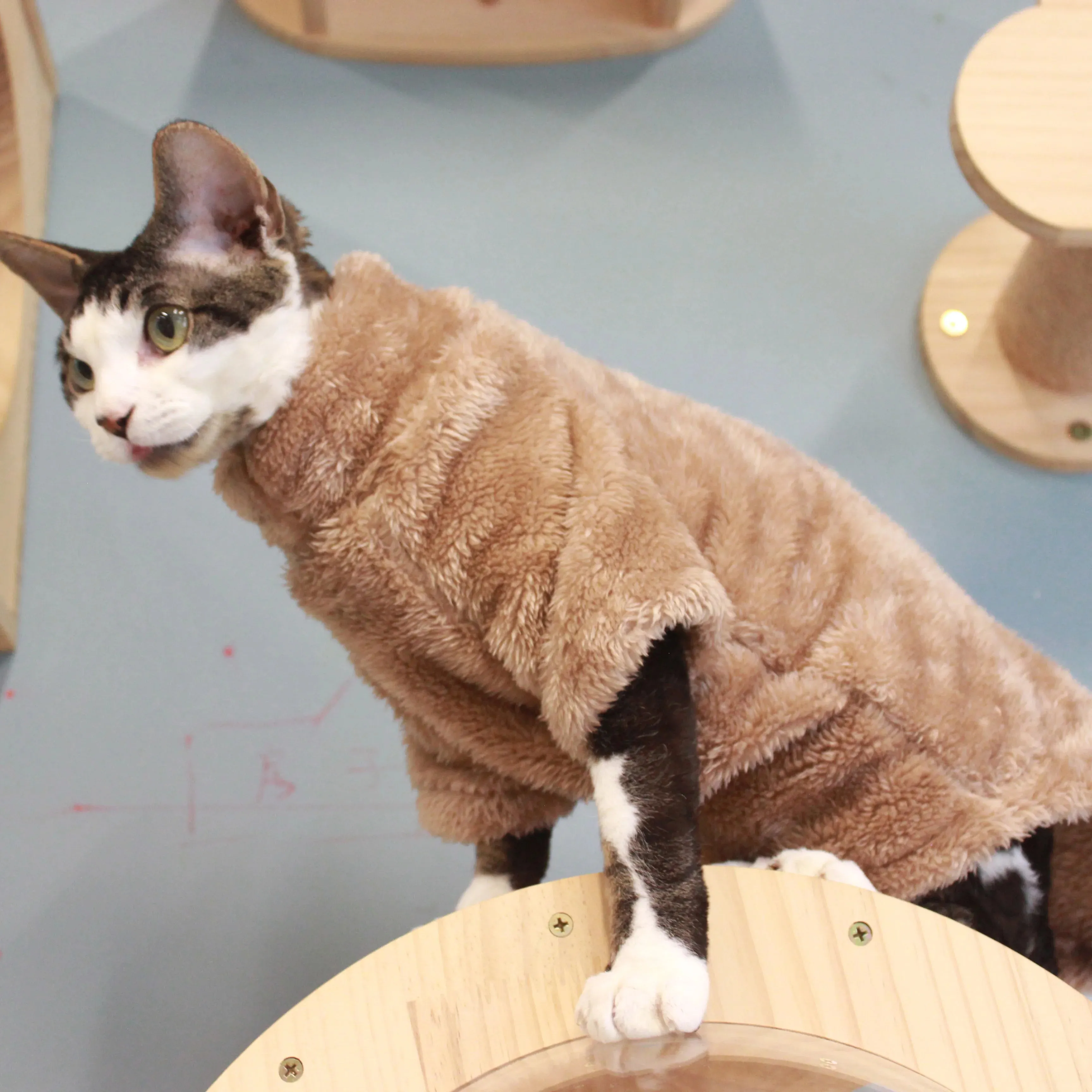 Pet Cat Sweater | Soft Arctic Velvet Home Fur Sweater for Autumn & Winter | Warm Skincare Outfit for Devonshire & Hairless Cats