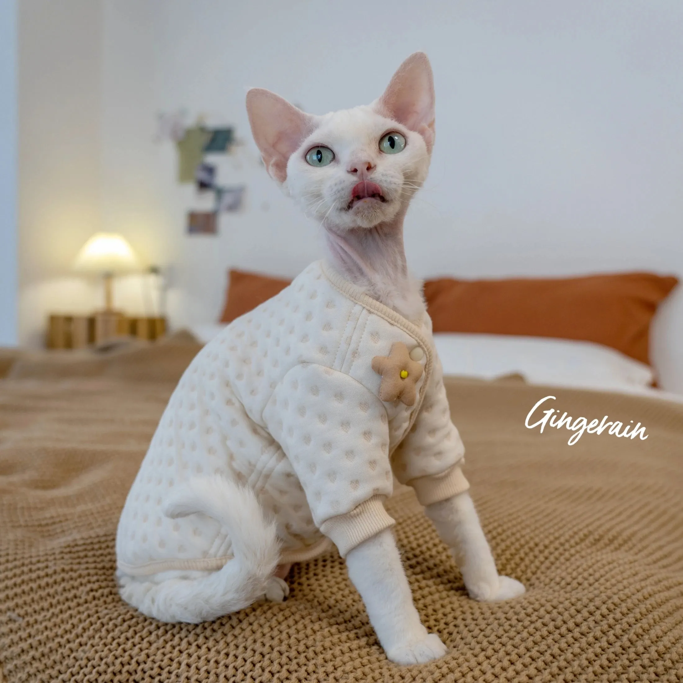 Pure Cotton Thickened Hoodie for Hairless Cats | Anti-Allergy Warm Small Coat | Sphynx Cat & Kitten Clothes