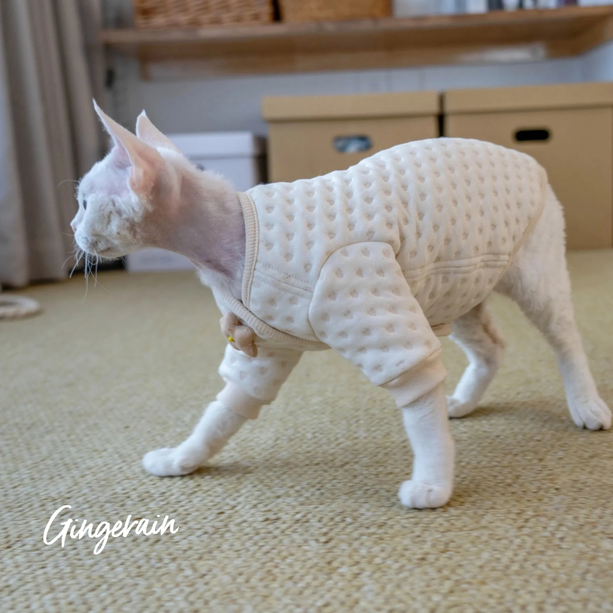Pure Cotton Thickened Hoodie for Hairless Cats | Anti-Allergy Warm Small Coat | Sphynx Cat & Kitten Clothes