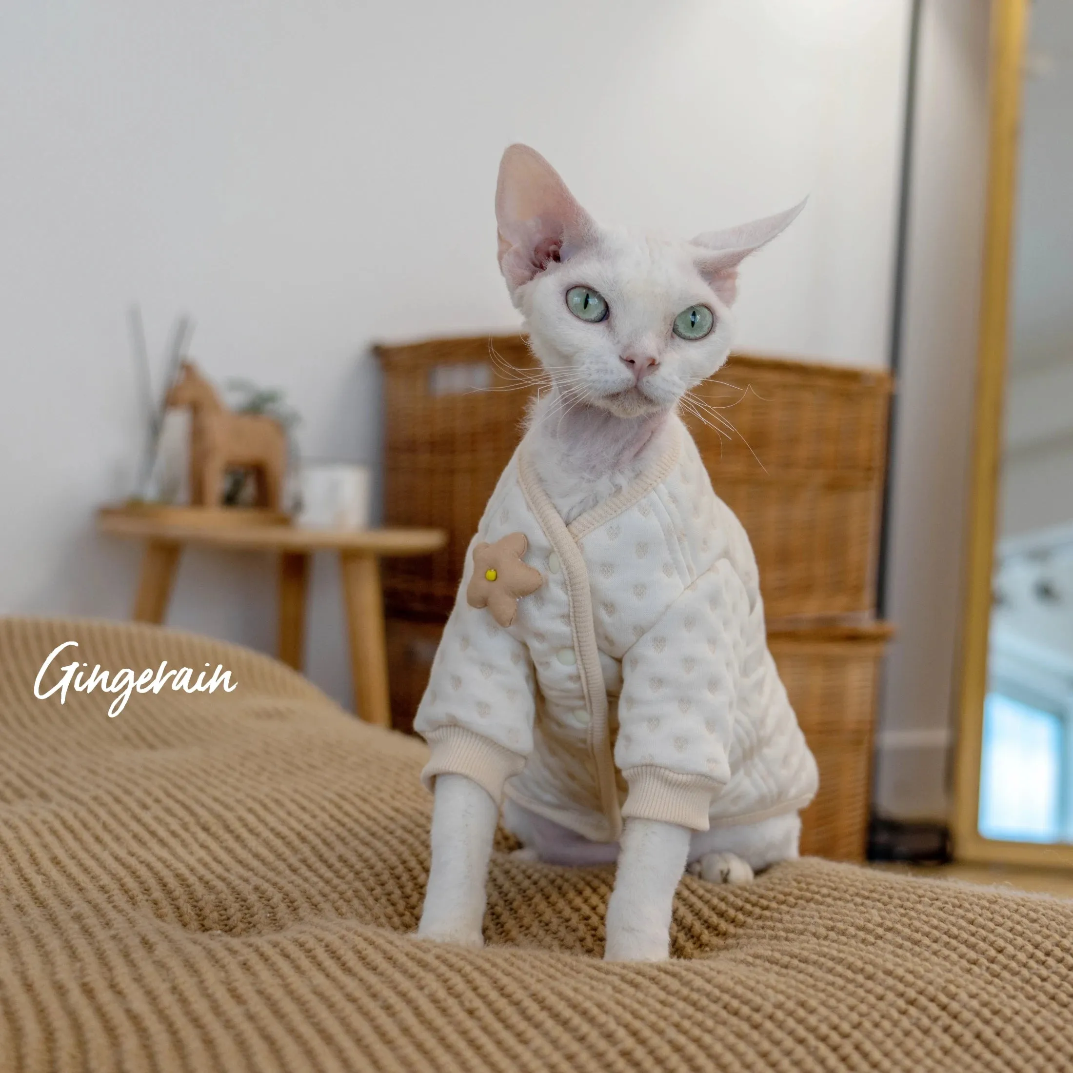 Pure Cotton Thickened Hoodie for Hairless Cats | Anti-Allergy Warm Small Coat | Sphynx Cat & Kitten Clothes