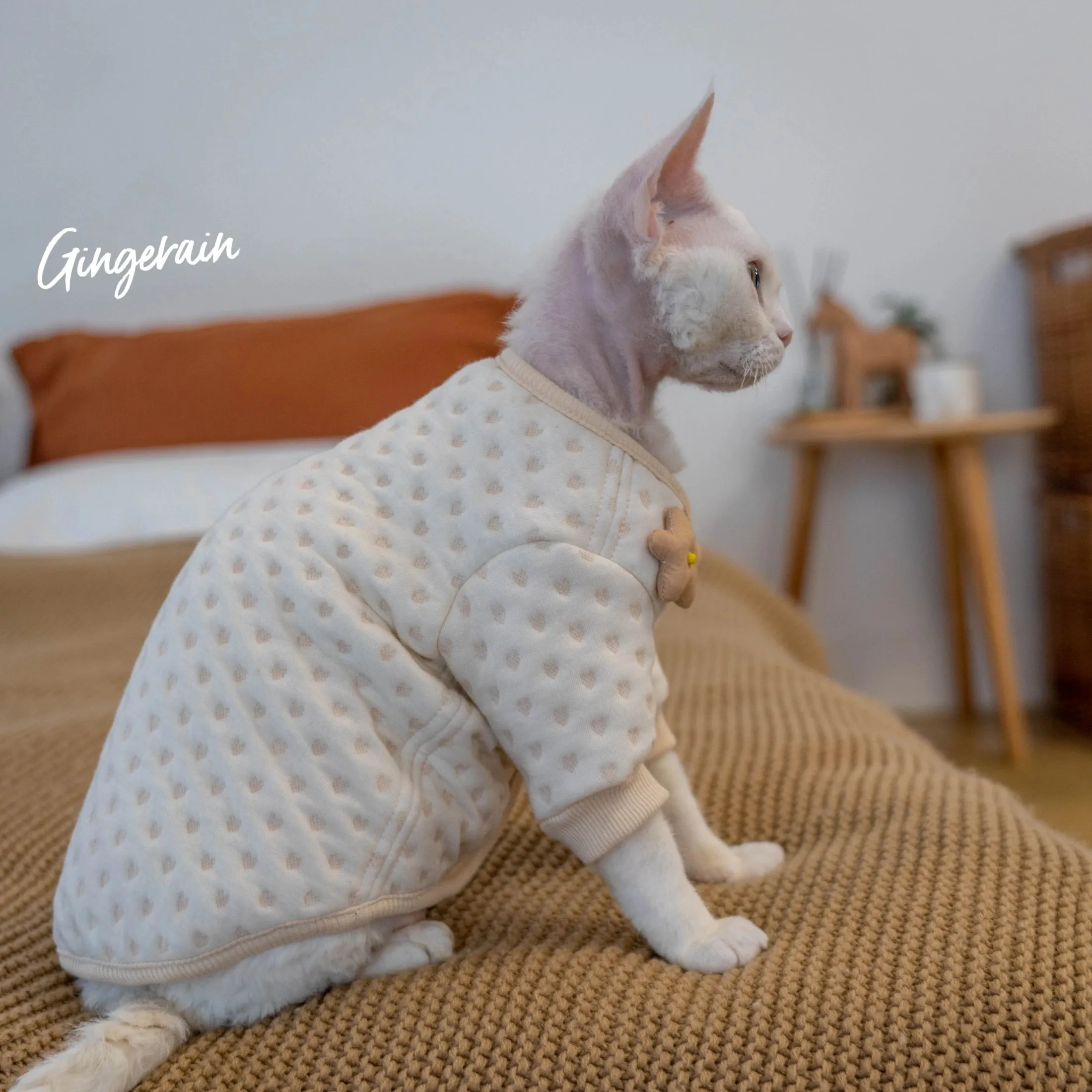 Pure Cotton Thickened Hoodie for Hairless Cats | Anti-Allergy Warm Small Coat | Sphynx Cat & Kitten Clothes