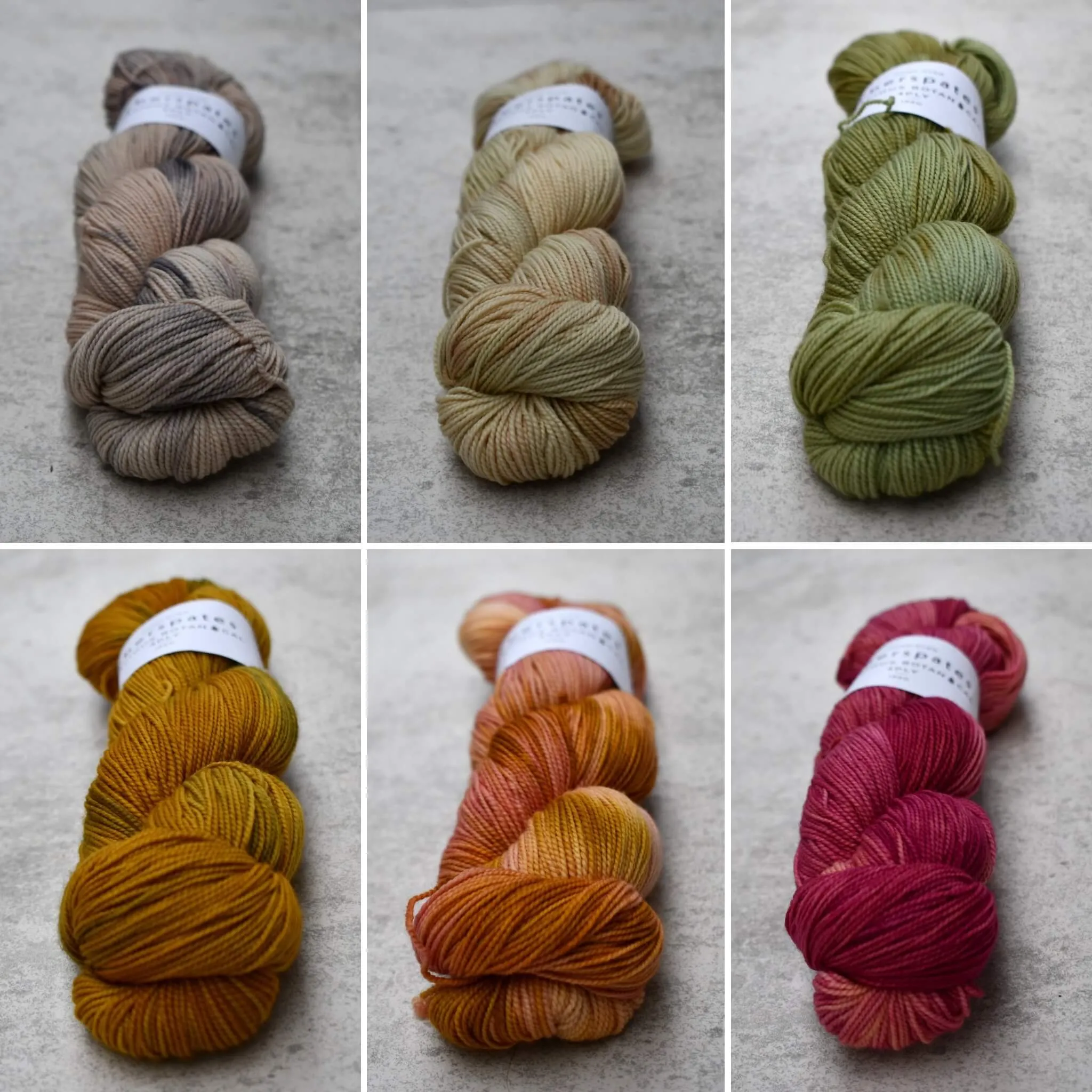 Vivacious Botanical 4ply